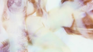 Thumbnail at 7:28