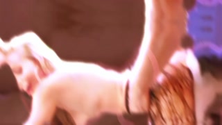 Thumbnail at 0:33