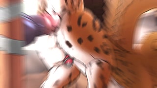 Thumbnail at 3:17
