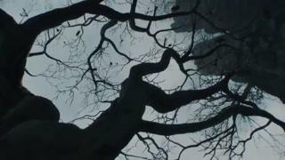 Thumbnail at 0:42