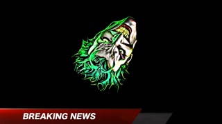 Thumbnail at 0:19