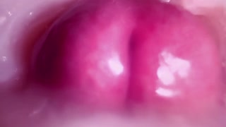 Thumbnail at 2:48