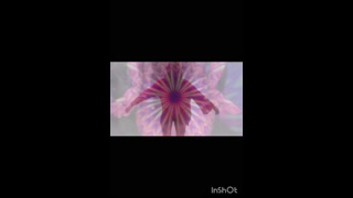 Thumbnail at 0:51