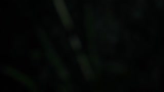 Thumbnail at 0:13