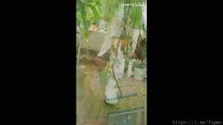 Thumbnail at 0:29