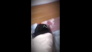 Thumbnail at 0:21