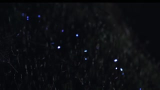 Thumbnail at 2:03
