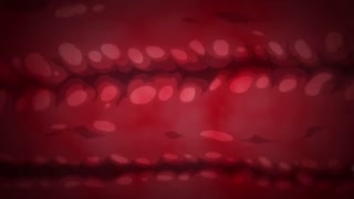 Thumbnail at 5:24