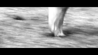 Thumbnail at 0:53