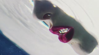 Thumbnail at 1:23