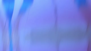Thumbnail at 1:13