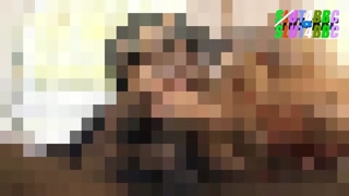 Thumbnail at 1:02