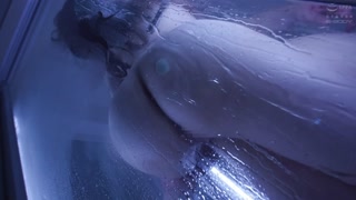 Thumbnail at 0:20