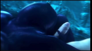 Thumbnail at 1:13