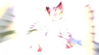 Thumbnail at 0:44