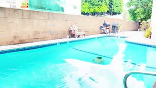 Thumbnail at 0:19