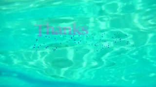 Thumbnail at 3:27