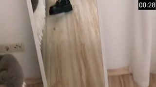 Thumbnail at 0:28