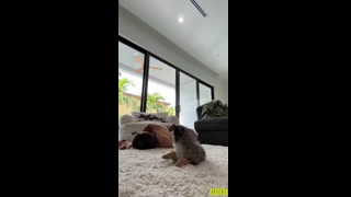 Thumbnail at 0:33
