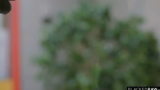 Thumbnail at 0:42